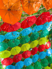 Umbrellas at The Miracle Garden in Dubai, UAE