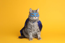 Adorable Cat In Blue Superhero Cape And Mask On Yellow Background