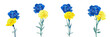 Panoramic view with blue and yellow carnations flowers, bouquets on white background. Digital draw, illustration in watercolor style. Creative concept of solidarity with Ukraine. Vector
