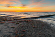 Muschel am Strand beim Sonnenuntergang