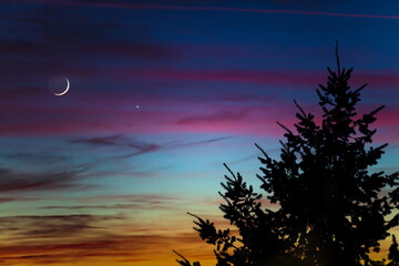 Tree silhouettes, stars and Moon on a vivid sky.