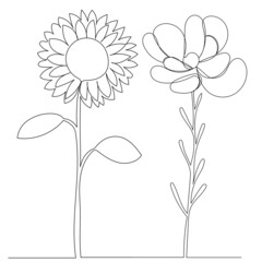 Wall Mural - flowers drawing in one continuous line, isolated vector