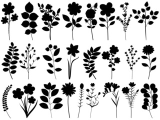 Wall Mural - set of flowers, plants silhouette, isolated vector