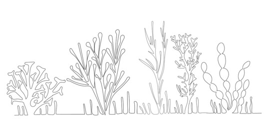 Wall Mural - algae drawing in one continuous line, isolated vector