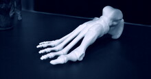 White Prototype Of The Human Foot Skeleton Printed On 3d Printer On Dark Surface. Fused Deposition Modeling, FDM. Progressive Modern Additive Technology. Concept Of 4.0 Industrial Revolution
