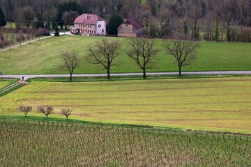 Canvas Print - Paysage et cultures.