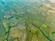 © AmazingAerialAgency - Aerial view of agricultural field in Sapahar, Rajshahi state, Bangladesh.