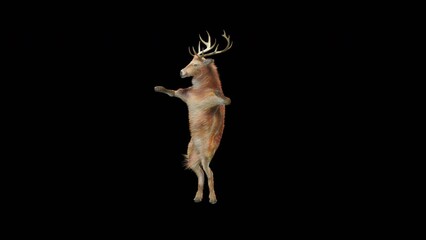 Wall Mural - deer dancing cg fur 3d rendering animal realistic cgi vfx animation loop composition 3d mapping cart