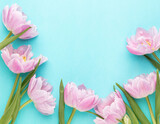 Fototapeta Tulipany - Pink tulip flowers on pastel background.