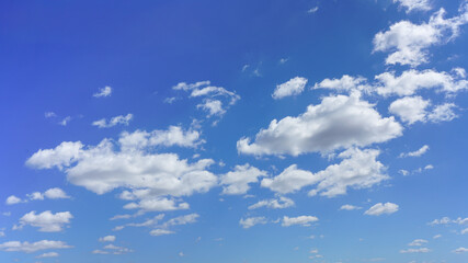 Wall Mural - puffy white clouds and blue sky suitable for background or sky replacement.
