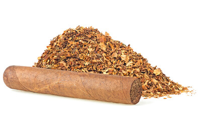 Wall Mural - Pile of dried tobacco leaves and brown cigar isolated on a white background