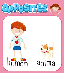 Poster - Opposite words for human and animal