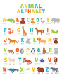 Colorful zoo alphabet poster with set of flat illustrations of cute animals for learning. ABC and English alphabet for children