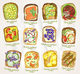 Wall Mural - Assorted sandwiches graphic vector illustration.