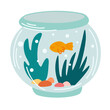 Fish tank. Round glass aquarium with goldfish and algae. An interior item with pets. Vector cartoon illustration isolated on the white background.