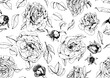 © Laura Bustos - Patrón vectorizado de flores de línea negras sobre fondo blanco, Rosas, ilustración de línea en blanco y negro