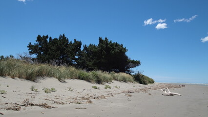 Wall Mural - New Brighton Beach (Christchurch)