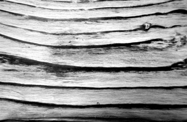 Wall Mural - Brushed pine wood texture in black and white.