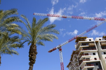 Construction of a residential building. Modern architecture. Construction crane and palm tree in the foreground. Beautiful sky