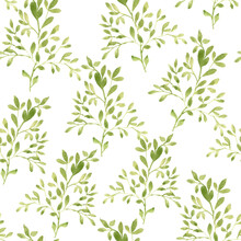 Floral Seamless Pattern. Watercolor Pattern With Tree Branches. Green Branches On A White Background.