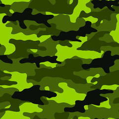 Wall Mural - Sports-military style. Vector graphics. Army clothes.