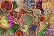 Herbal plant medicine  preparation with herbs and flowers for natural organic healing medication. Alternative plant based health care concept. Top view, flat lay on rustic wood background. 