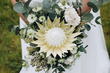 Poster - The bride holds beauty wedding bouquet of white protea flowers