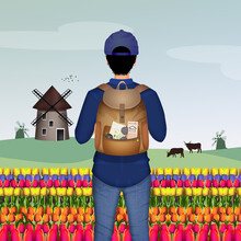 Illustration Of The Tulip Field Tourist In Holland