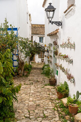 Wall Mural - narrow pedestrian street lined with plants in the historic center of Castellar de la Frontera