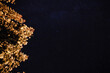 © Vinicius - Estrelas no céu