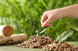 Female hand with green plant and piles of wood pellets on table outdoors
