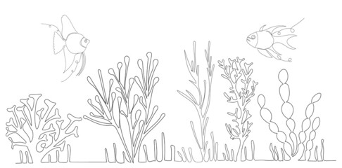 Wall Mural - algae drawing in one continuous line, isolated vector