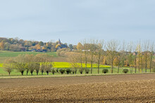  Flemish Ardennes Landscape, With Farm Fields, Pollarded Willow Trees And A Small Church Of He Village Of Onkerzele On The Hilltop. Flanders, Belgium 
