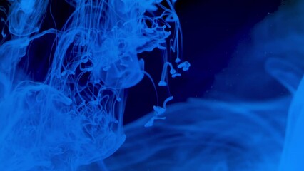 Poster - Beautiful ink underwater on black background. Stock footage. Bright cloud of ink moves in water. Splash and spread of ink in clear water