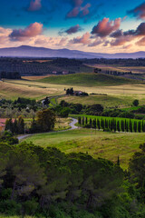 Canvas Print - Campagna toscana