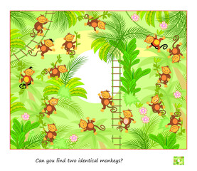 Logic puzzle game for children and adults. Can you find two identical monkeys? Page for kids brain teaser book. Task for attentiveness. IQ test. Play online. Jungle animals. Vector cartoon image.