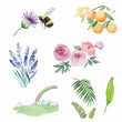 Watercolor clip art for summer and spring