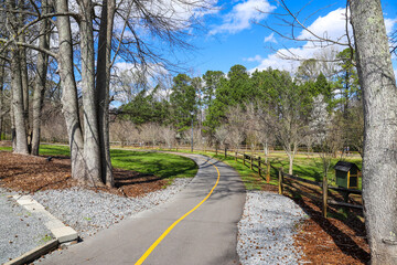 Wall Mural - a long winding footpath in the park surrounded by lush green grass, bare winter trees and lush green trees with blue sky and powerful clouds at Swift Cantrell Park in Kennesaw Georgia USA	