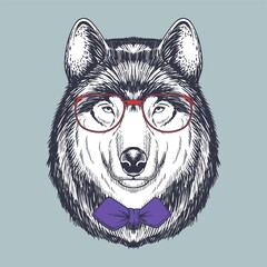 Wall Mural - wolf hand drawn wearing a red glasses and bow tie