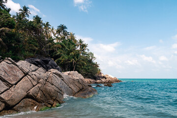 Wall Mural - beautiful wild sandy beach with palm trees and clear turquoise water