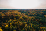 Fototapeta  - autumn landscape in the mountains