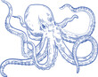 Octopus Hand Drawn Monochrome Illustration