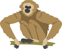 Gibbon Monkey As Arboreal Herbivorous Ape Sitting On Tree Branch Illustration