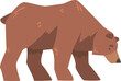 Standing Brown Bear as Large Wild Terrestrial Carnivore Mammal with Thick Fur