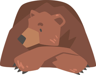 lying brown bear as large wild terrestrial carnivore mammal with thick fur