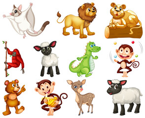 Wall Mural - Set of animal cartoon character