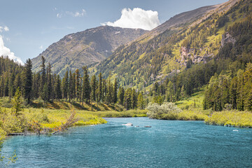scenic view of wild northern nature with coniferous forests and a calm quiet river. a great place fo