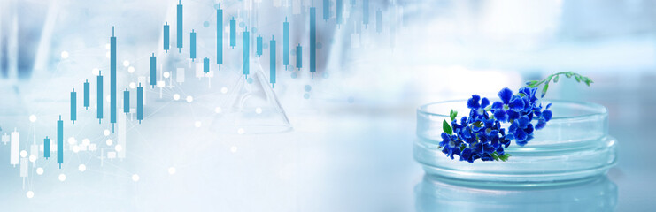 Wall Mural - blue purple flower and glass plate with line white graph light medical science lab and research data