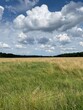 Meadow in midsummer with cloud formations in the sky - Schwanheimer Wiese in Frankfurt am Main im Hochsommer bei windigen Wetter mit schnell ziehenden Wolken