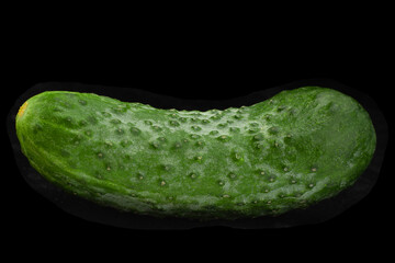 Wall Mural - Cucumber vegetable on blak